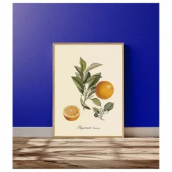 Online The Dybdahl Co. Affiche Bigarrade Couronnée Multicolore