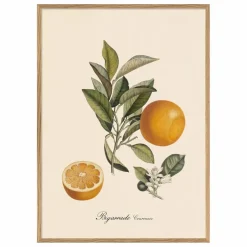 Online The Dybdahl Co. Affiche Bigarrade Couronnée Multicolore