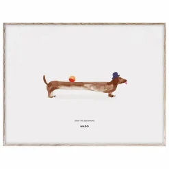 Sale Mado Affiche Doug the Dachshund 40x30 cm Multicolore