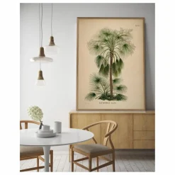 The Dybdahl Co. Affiche Livistona Humilis