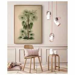 The Dybdahl Co. Affiche Livistona Humilis