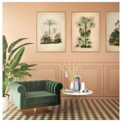 The Dybdahl Co. Affiche Livistona Humilis