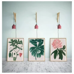 The Dybdahl Co. Déco Murale, Papier Peint|Affiche Rhododendrum Maximum