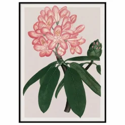 The Dybdahl Co. Déco Murale, Papier Peint|Affiche Rhododendrum Maximum