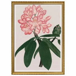 The Dybdahl Co. Déco Murale, Papier Peint|Affiche Rhododendrum Maximum