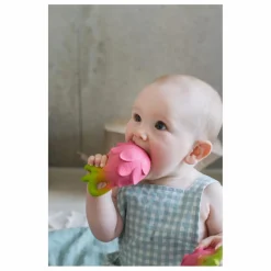 Oli & Carol Anneau de dentition Fuscia le fruit du dragon Rose Clearance