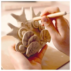 Best Djeco Atelier 85 modelage Multicolore