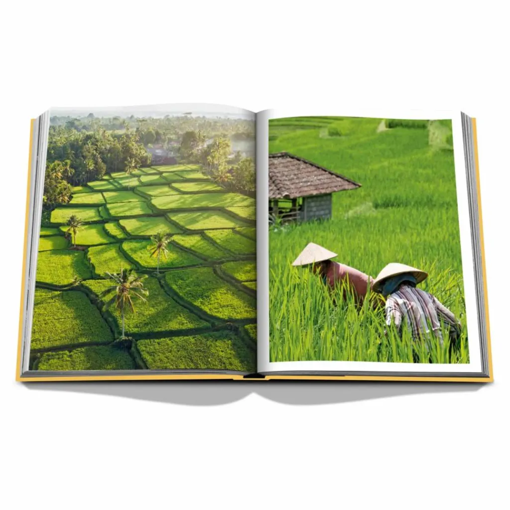 Outlet Assouline Bali Mystique Jaune