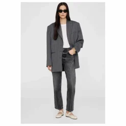 Femme Anine Bing Ballerines Jolie Cuir Craquelé |