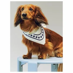 Hay Bandana pour chien | Off-White Online