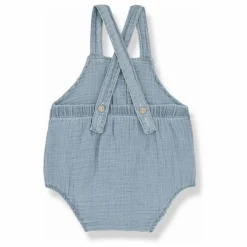 1+ in the family Barboteuse Lucca |