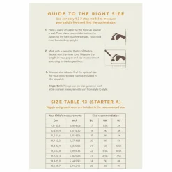 Petit Nord Baskets Lacets Everyday | Cognac New