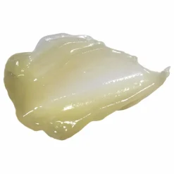 Online Mini Bloom Baume nourrissant et calmant Hallelujah Nipple Balm - 56 g Non teinté