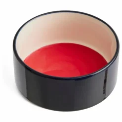 Clearance Hay Bol pour chien | Bleu