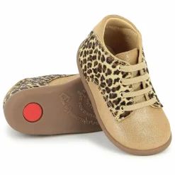 Pom d'Api Boots, Bottes|Bottillons Stand Up Derby Velours |