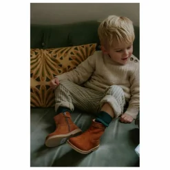 Petit Nord Bottines Mingus Suede | Marron Sale