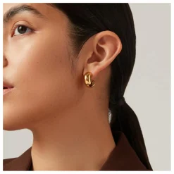 Jenny Bird Boucles d'Oreilles Medium Tome | Doré