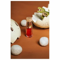 Discount Petit Boum Bouteille sensorielle T-Rex | Orange