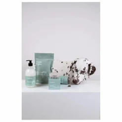 Sale Holidermie Brosse de massage pour chien Holidog Blanc