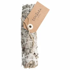 Sentara Bâton de sauge