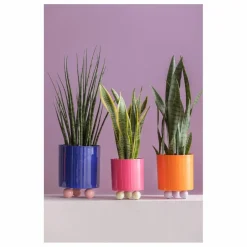 Clearance Present Time Cache-pot Double Funky | Rose