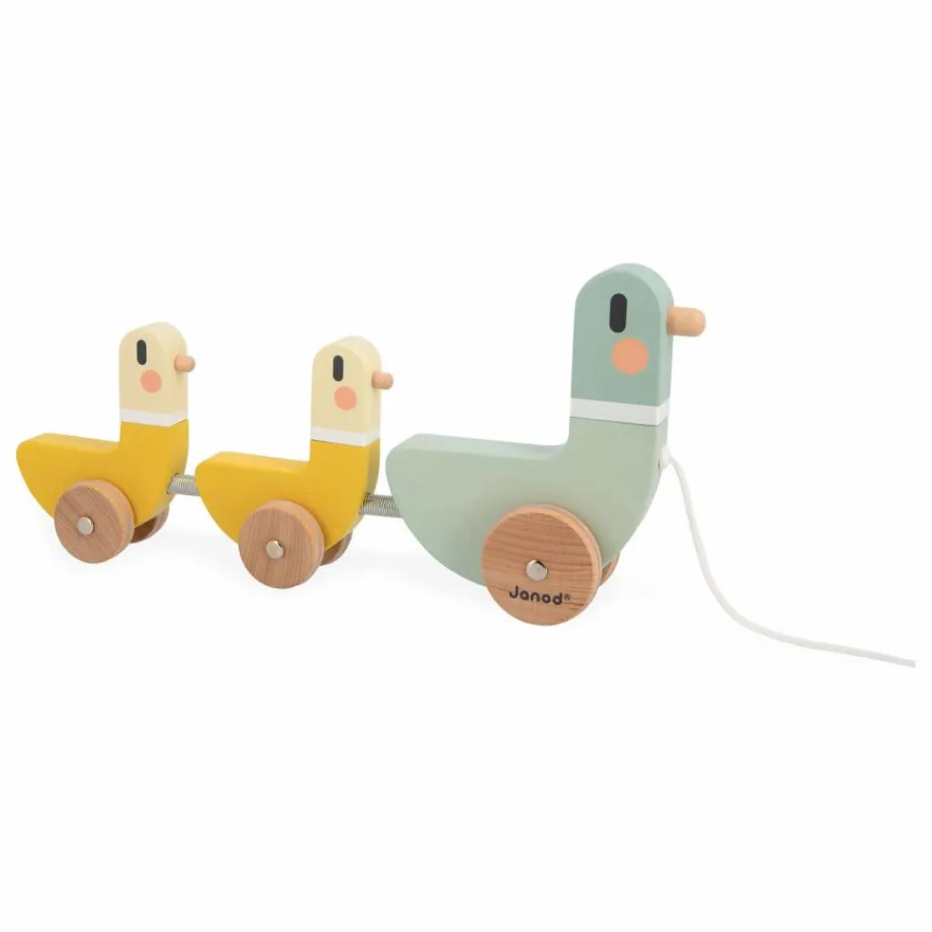Janod Canards à Tirer Multicolore