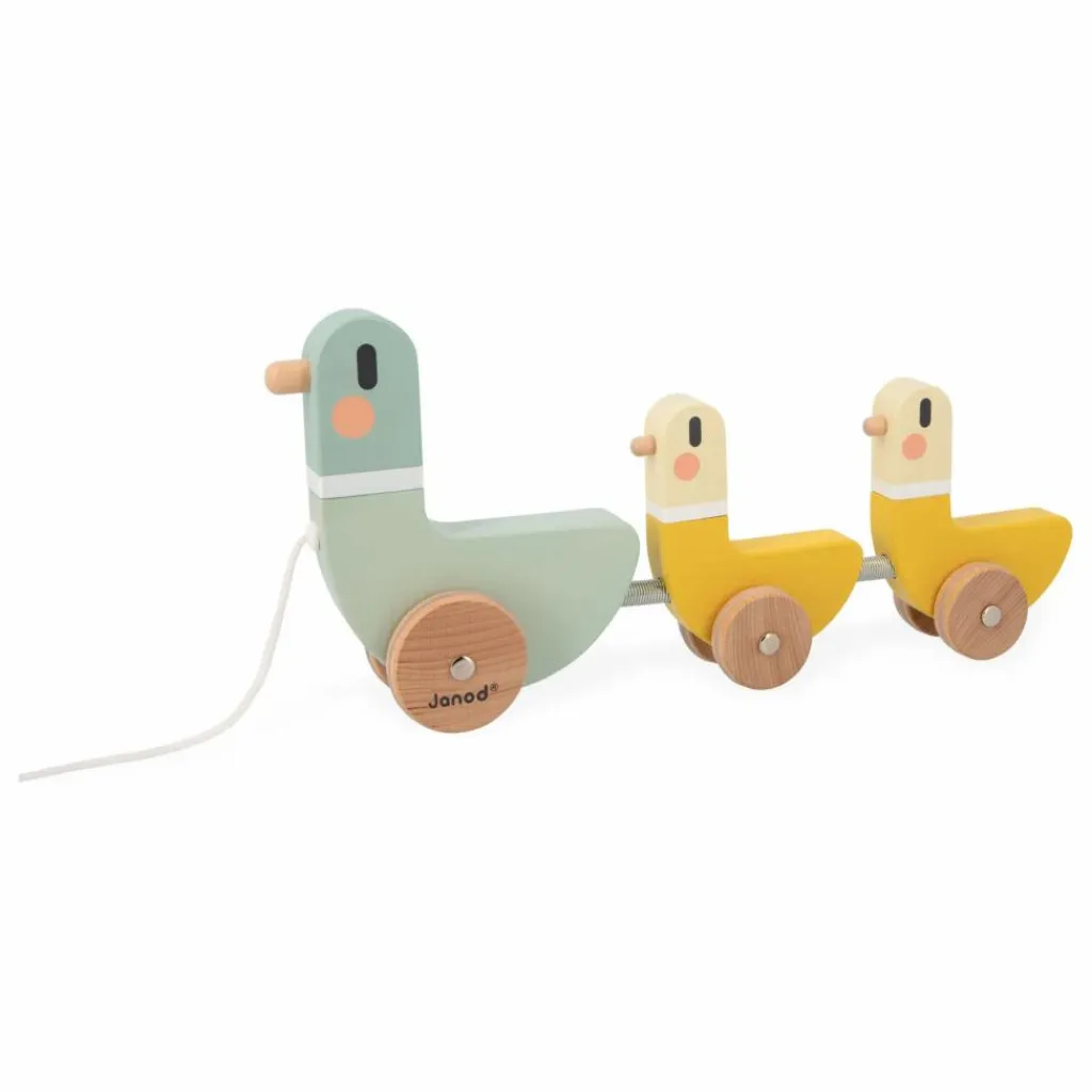 Janod Canards à Tirer Multicolore