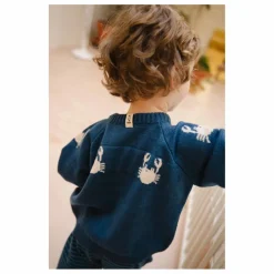 Enfant Bayiri Pulls, Gilets|Pulls, Gilets|Cardigan Dancing Crabs Mérinos |