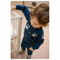 Enfant Bayiri Pulls, Gilets|Pulls, Gilets|Cardigan Dancing Crabs Mérinos |