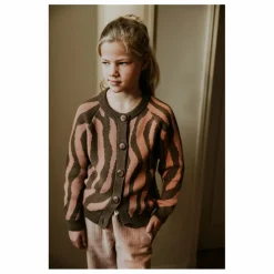 Hot Yuki Cardigan Raglan Zèbre Coton Bio | Marron