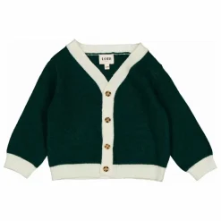 Online Loir Cardigan Vassili Laine | Vert