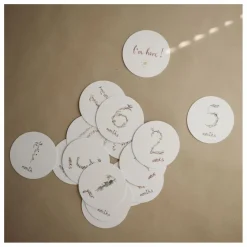 Mushie Cartes étapes