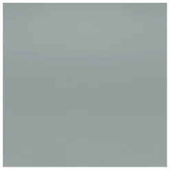 Vitra Chaise DSR Plastic - piètement blanc epoxy - Charles & Ray Eames |