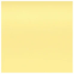 Hot Vitra Chaise DSW plastic - piètement érable - Charles & Ray Eames | Jaune citron