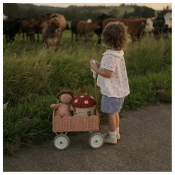 Clearance Olli Ella Chariot en rotin Petal | Rose pêche