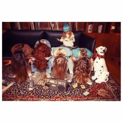 Enfant Piupiuchick Nuit, Sous-Vêtements|Nuit, Sous-Vêtements|Chaussettes Rayées |