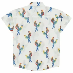 Lucas du Tertre T-Shirts, Chemises|Blouses, T-Shirts|Chemise Oiseaux |