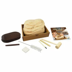 Buki Coffret d'archéologie - Museum Dino Skull