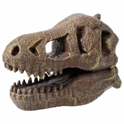 Buki Coffret d'archéologie - Museum Dino Skull