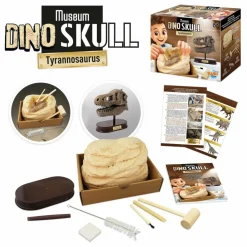 Buki Coffret d'archéologie - Museum Dino Skull