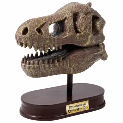 Buki Coffret d'archéologie - Museum Dino Skull