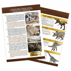 Buki Coffret d'archéologie - Museum Dino Skull