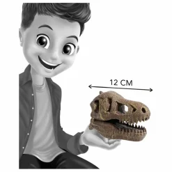 Buki Coffret d'archéologie - Museum Dino Skull