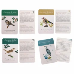 Moulin Roty Coffret découverte des oiseaux Multicolore Outlet