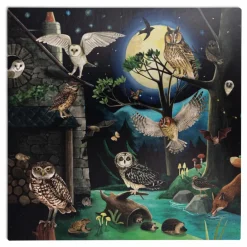 Moulin Roty Coffret découverte des oiseaux Multicolore Outlet