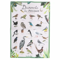 Moulin Roty Coffret découverte des oiseaux Multicolore Outlet