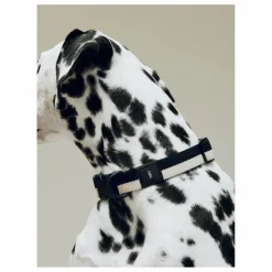 Hay Collier | Noir Hot