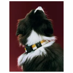 Sale Hay Collier | Off-White