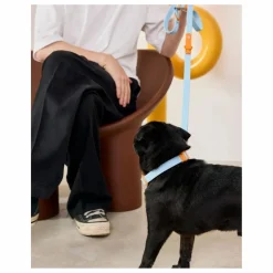 Sale Approved by Fritz Collier pour chien | Bleu ciel