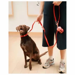 Approved by Fritz Collier pour chien | Rouge cerise Best